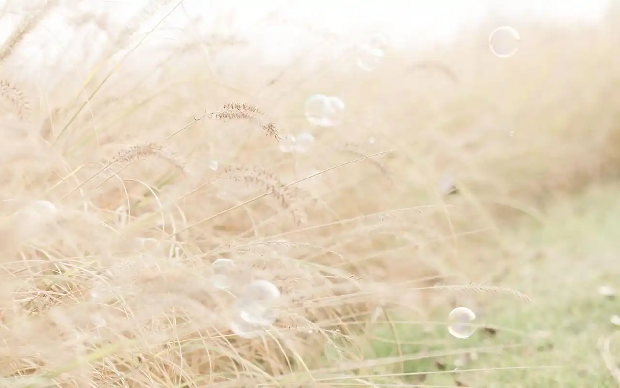 一组唯美小清新风景图片,希望大家喜欢,更多创意风格摄影壁纸尽在美桌