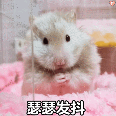 可爱小仓鼠表情包动图