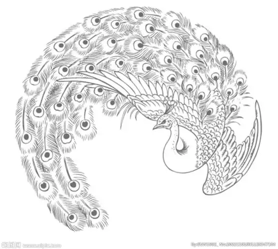 rgb40共享分举报收藏立即下载关 键 词:硅藻泥图 孔雀 图腾 线描图