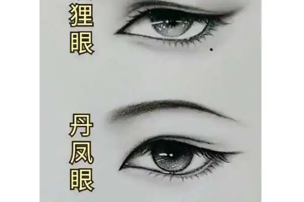 眼尾不同:狐狸眼尾部整体倾斜;丹凤眼的尾巴上翘并且狭长.