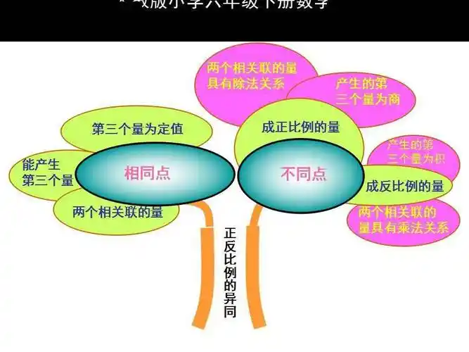 人教版六年级数学下册各单元思维导图