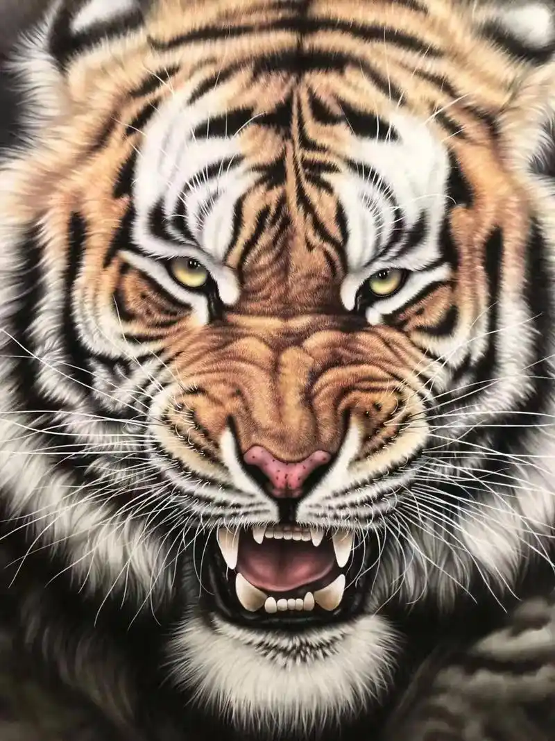 9o后年轻画家高娜工笔虎头推赏 - 抖音