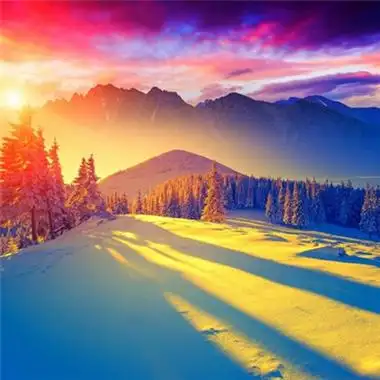 高分好运头像(16张)