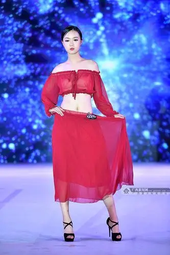 2017第16届精功(国际)模特大赛南宁赛区精彩收官_广西新闻网精彩图集