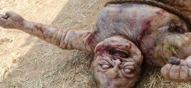 原创行尸走肉五大恶心的场景哪一个最让你想呕吐