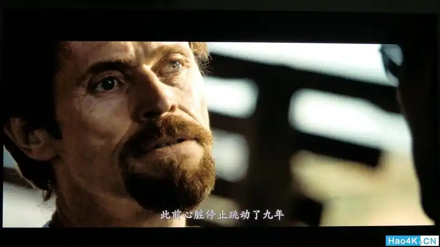 嗜血破晓daybreakersuhd字幕附精美屏摄