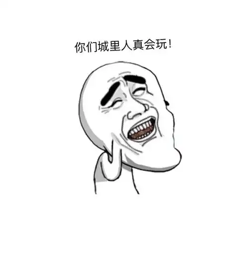 你们城里人真会玩什么意思 你们城里人真会玩出处