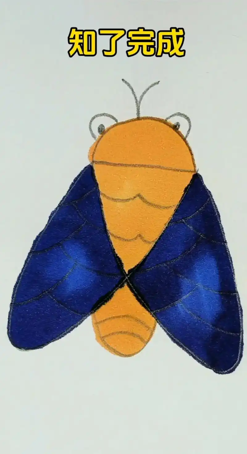 99如何画一只可爱的知了99.