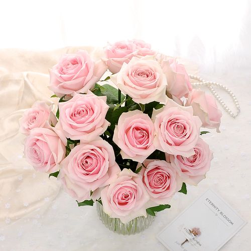 玫瑰鲜切单头粉色粉红雪山优质云南空运包邮鲜花速递(同城)