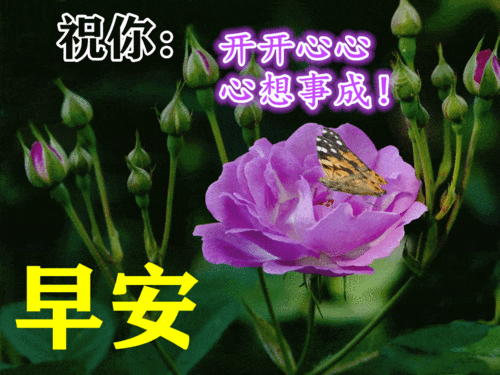 6月23日最漂亮早上好动态表情图片大全早晨好动图美图大全