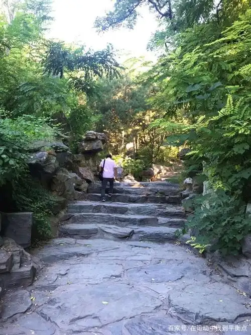 北京东单公园遇读书狂,有人知道后要送书给他,他的身份你想不到