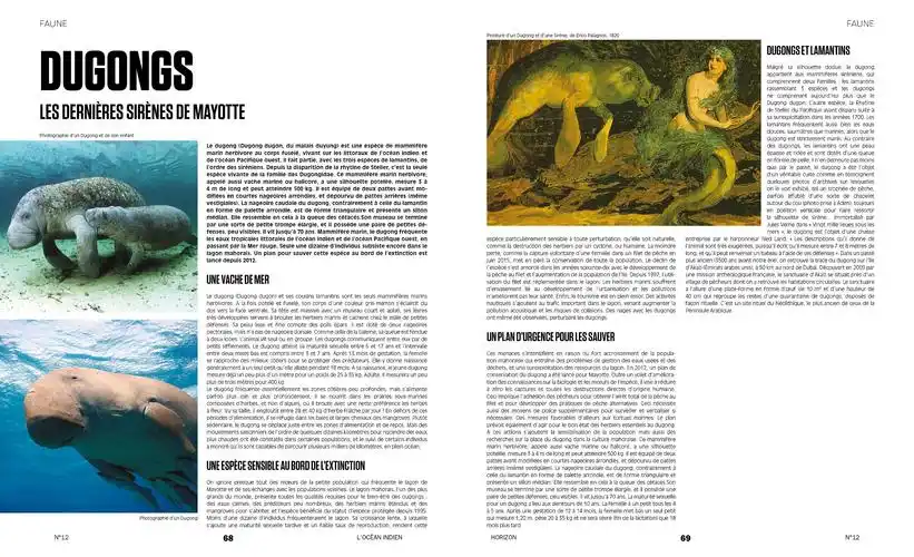 杂志排版书籍旅游