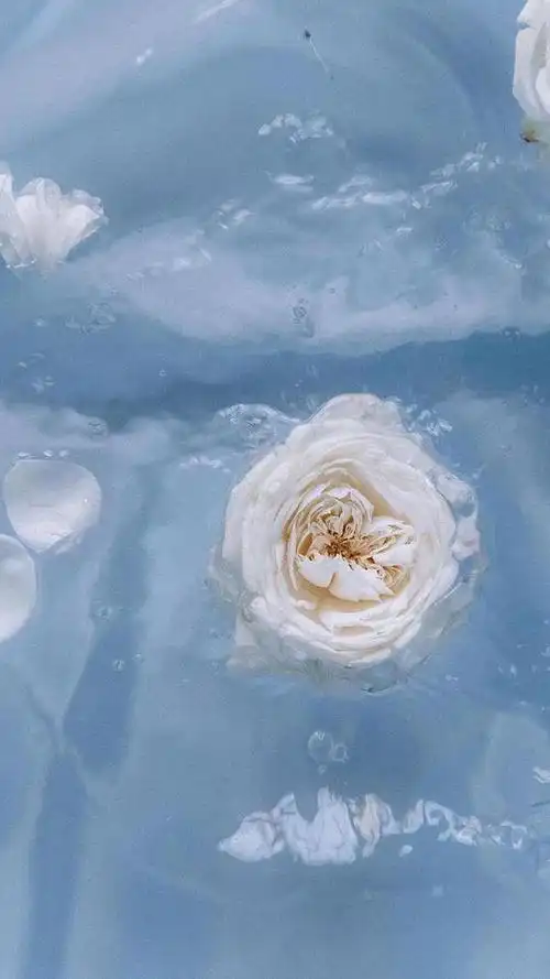 精选蓝色系壁纸,温柔的蓝色让人心情平静