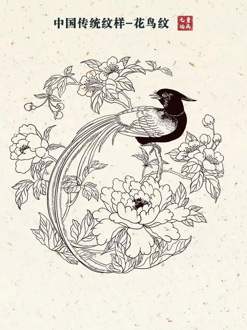 day26 | 中国传统纹样练习-花鸟纹 #线稿# #小红书成长助手# #纹样