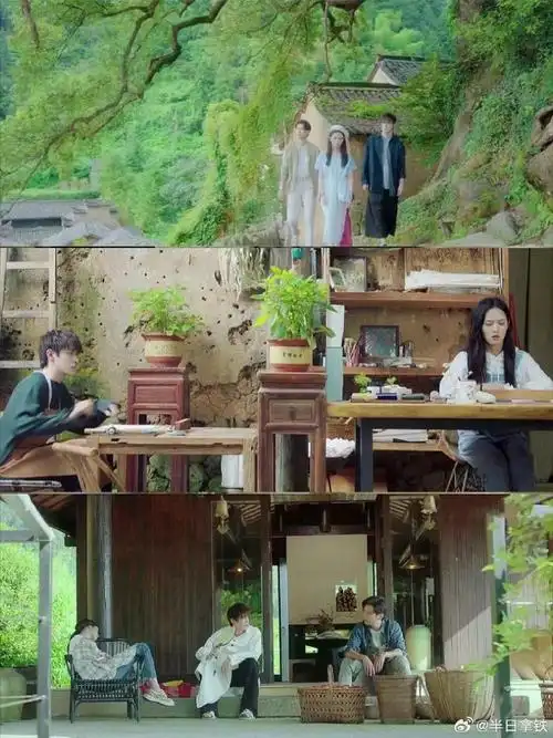 《种菜女神 》  陈庭妮 x刘以豪  情歌才子严东鸣x种菜女神农田礼耘