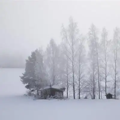 雪景头像唯美冬季雪景风景太美了