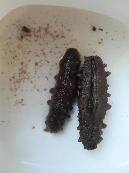 今天早上6:00泡的,海参放到水里冰化了就出现这种