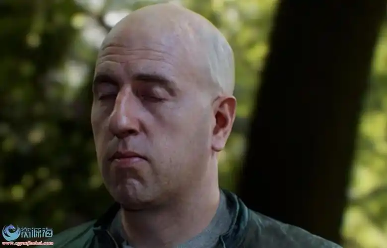 至极1比1欧美人头还原真实3d艺术秀 free head scan 扫描模型