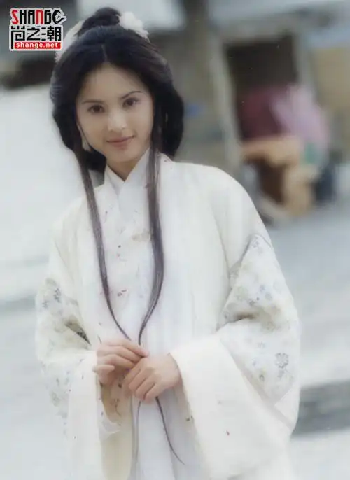 陈浩民版天龙八部演员表 揭97版天龙八部演员现状