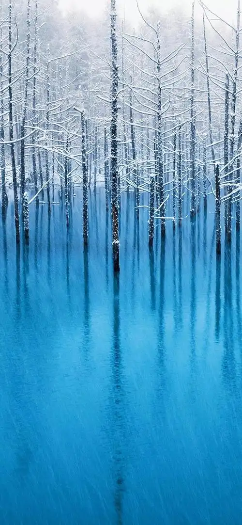 有哪些好看的iphone实况壁纸呀