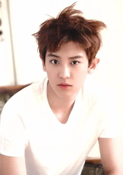 朴灿烈:帅是哥的态度,宠粉是哥的品质