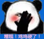 鸡鸡硬了表情包 - 日常表情包