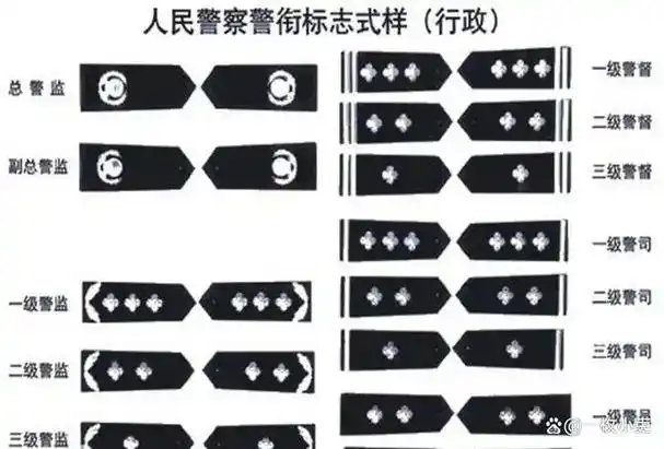 警察级别,职务,职级,警衔的正确关系