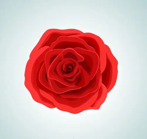 红色玫瑰花朵矢量素材