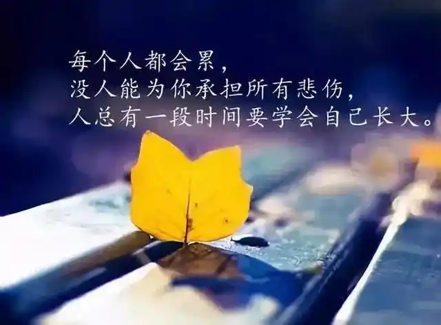 人生感悟唯美句子大全 品茶香,知茶趣;品人生,知人趣.