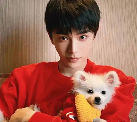 《十年一品温如言》电影来袭,丁禹兮担任男主,与女主cp感十足