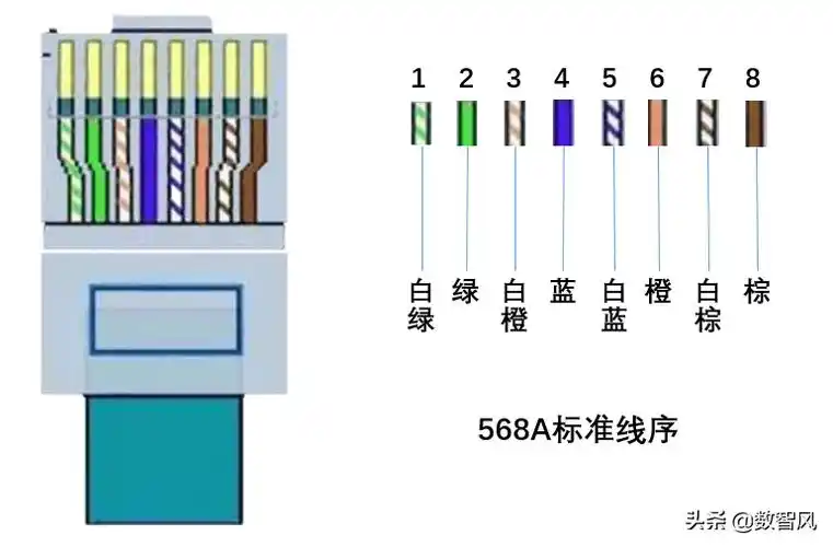 水晶头接法图解两种网线水晶头接法详解