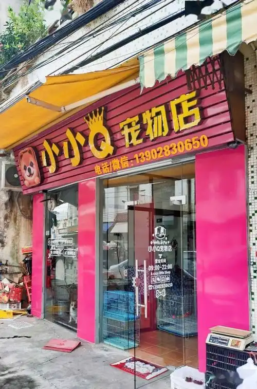 容桂小小q宠物店重新开业