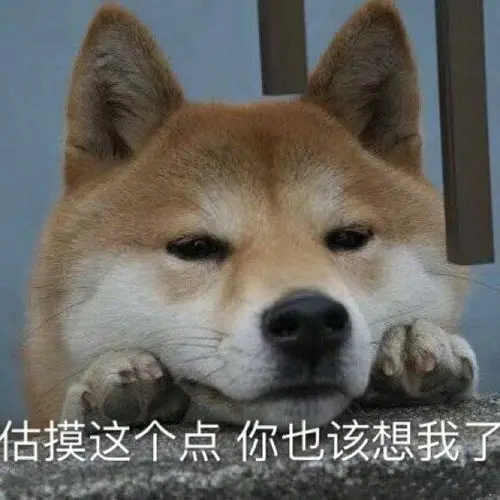 男生发表情包,估摸这个点你也该想我了?是什么意思啊?