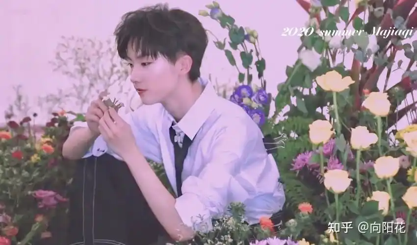 你觉得马嘉祺哪吸引到你了