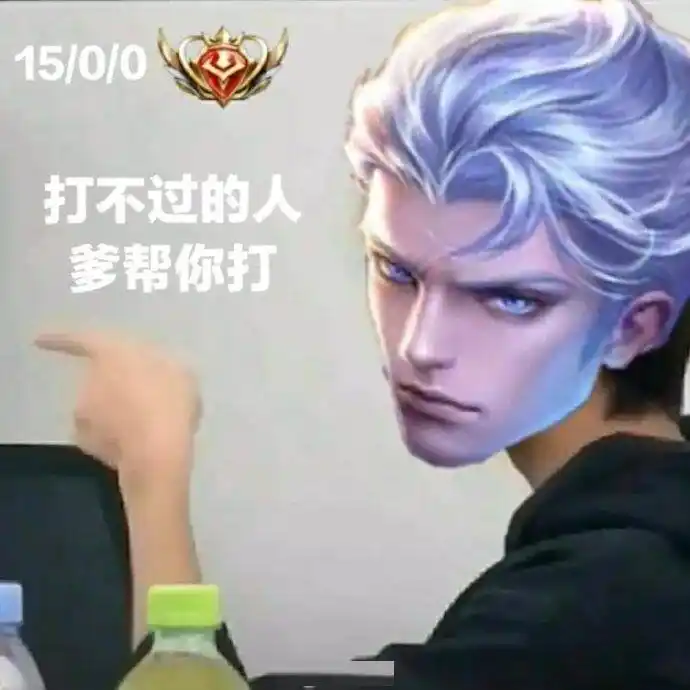 《王者荣耀》野王表情包一览