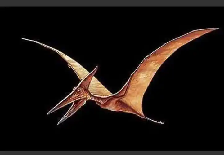 2018年1月5日分享内容《穿越恐龙时代》恐龙补充内容作者:埃里克.罗曼