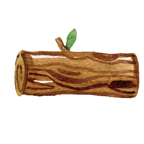 卡通_棕色树桩【高清装饰元素png素材】-90设计