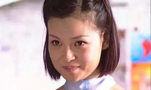 如果当年张世豪没有被林美茹甩掉,还会有后来的大贼头张世豪吗?