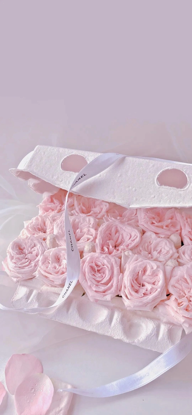 好看的壁纸:粉色系