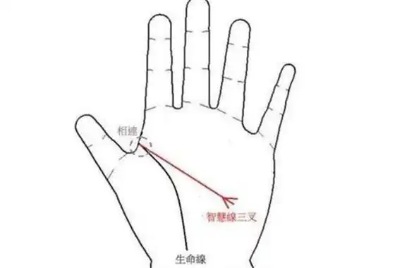 手相智慧线中间分叉预示着什么