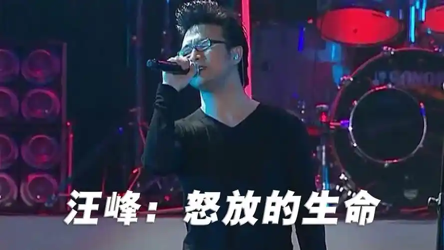 汪峰《怒放的生命》演唱会现场版