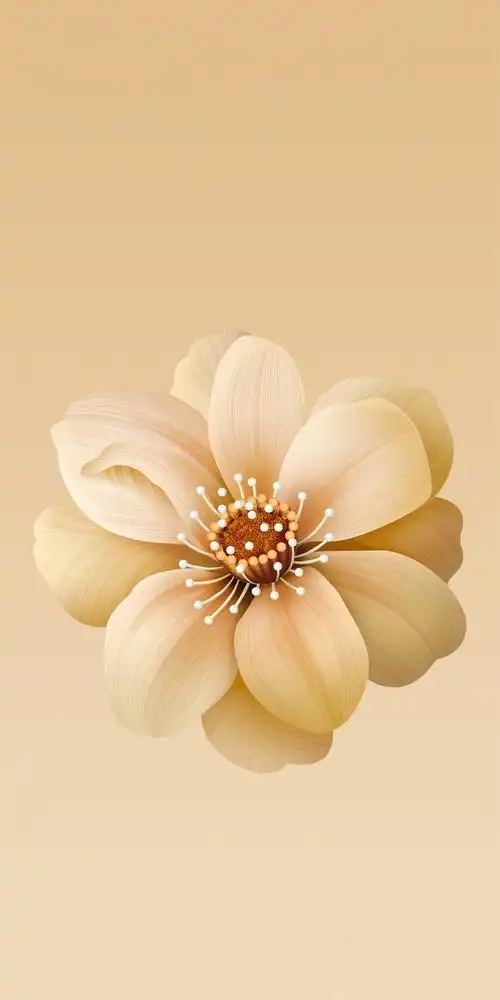 小米6x流沙金花朵内置壁纸