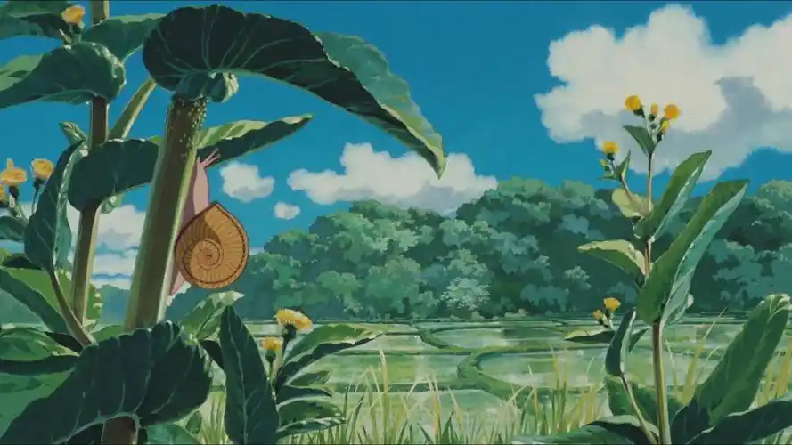 儿时的回忆《龙猫》剪辑,宫崎骏最唯美的童话故事-动漫视频-搜狐视频