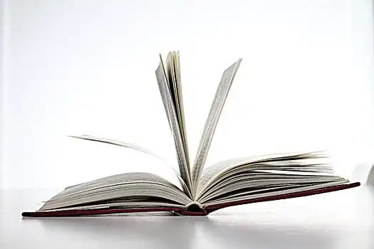 书本日记,锁,花园女青年,读,书本文具一本,翻开,的书放在书本上的果实