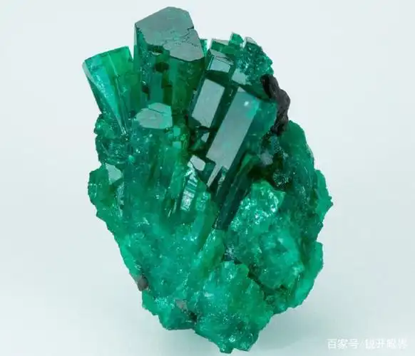 温暖的五月,激荡心灵的绿宝石之王