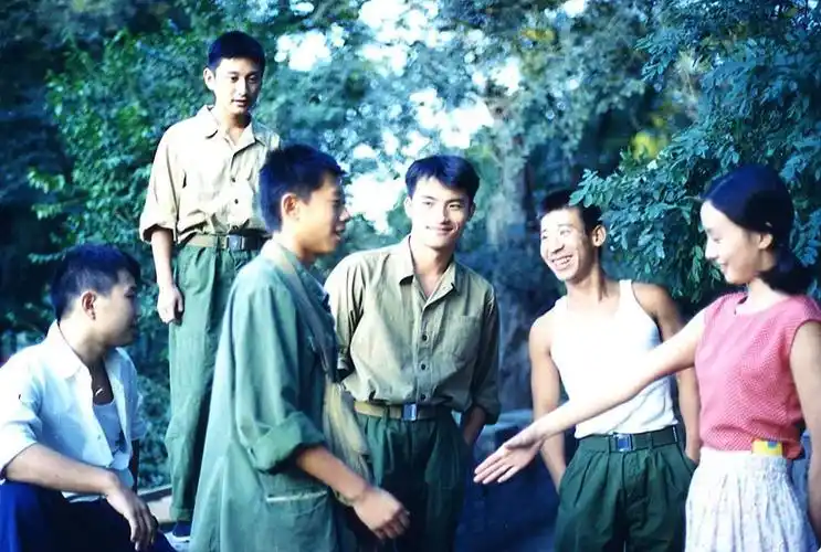 阳光灿烂的日子青春回响