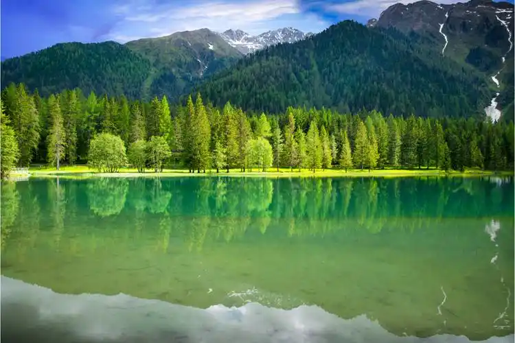 dx918青山绿水      商品价格: 面议 类型:背景墙 本店分类