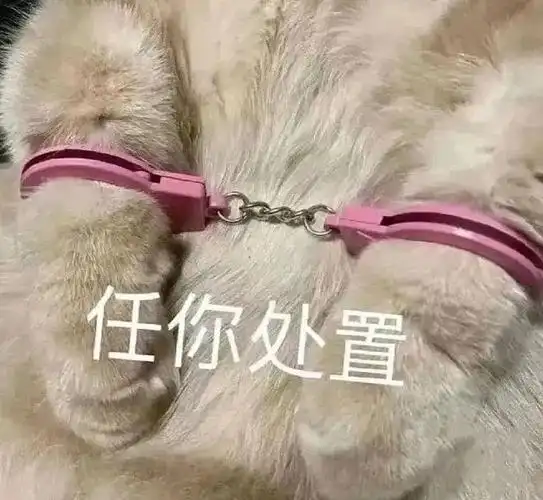 情侣套路表情包#表情包