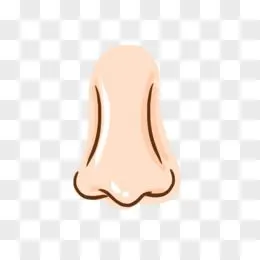 鼻子图片素材_免费鼻子png设计图片大全_图精灵