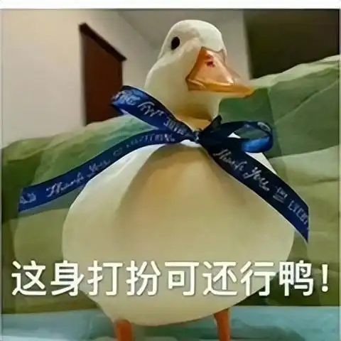 可爱鸭鸭表情包,呆萌可爱,值得收藏